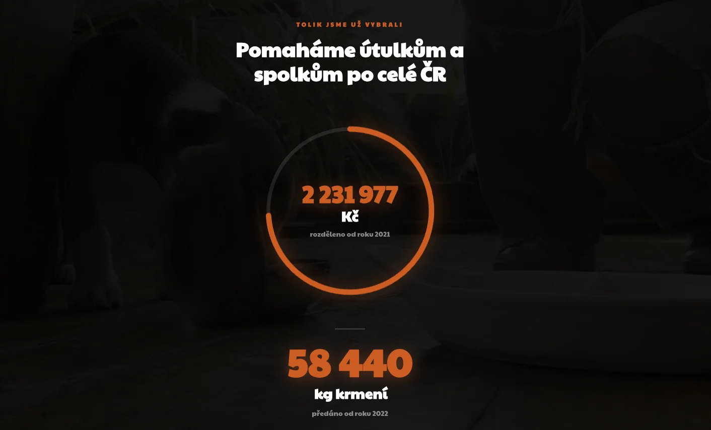 Packa pro útulkáče - aktivní metriky systému